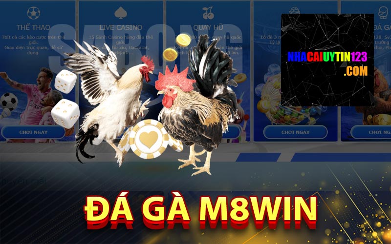 Đá gà M8win
